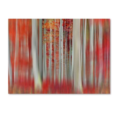 Trademark Fine Art Philippe Sainte-Laudy 'We Rolled Together' Canvas Art, 30x47 PSL0215-C3047GG